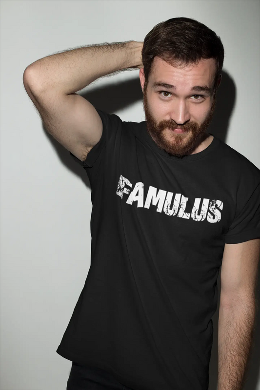 famulus Men's Vintage T shirt Black Birthday Gift 00555