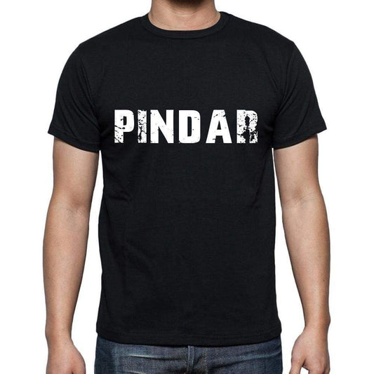 Pindar Mens Short Sleeve Round Neck T-Shirt 00004 - Casual